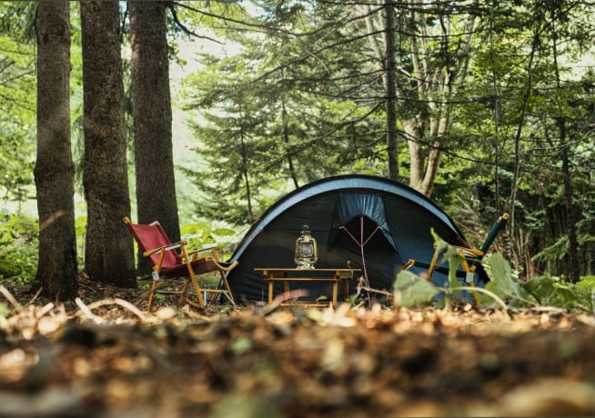 FOREST TENT SITE