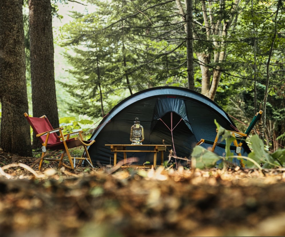 FOREST TENT SITE